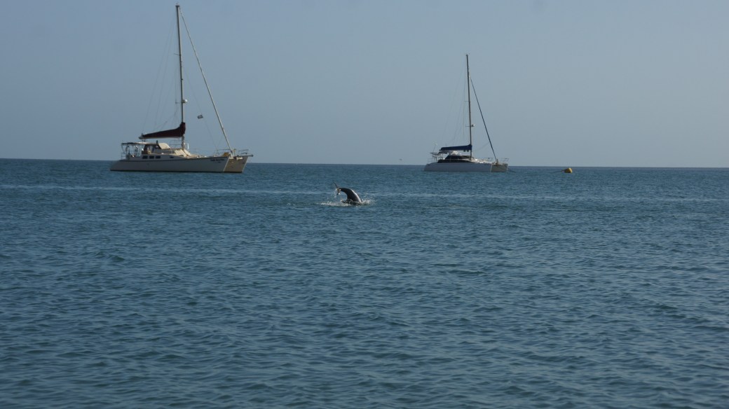 SONY DSC