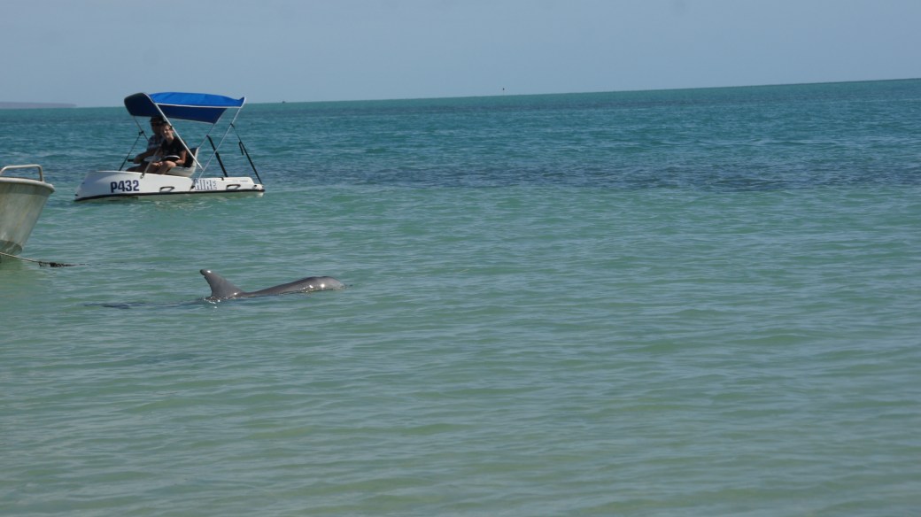 SONY DSC