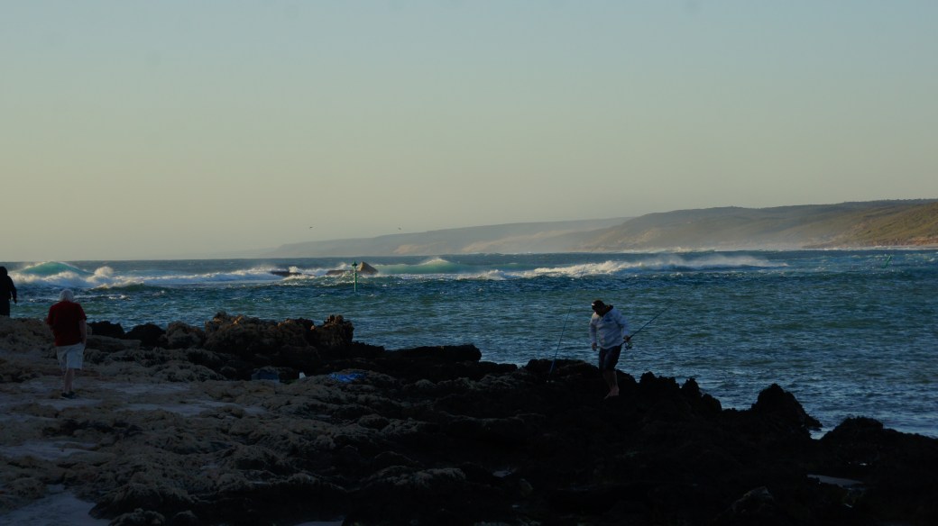 SONY DSC