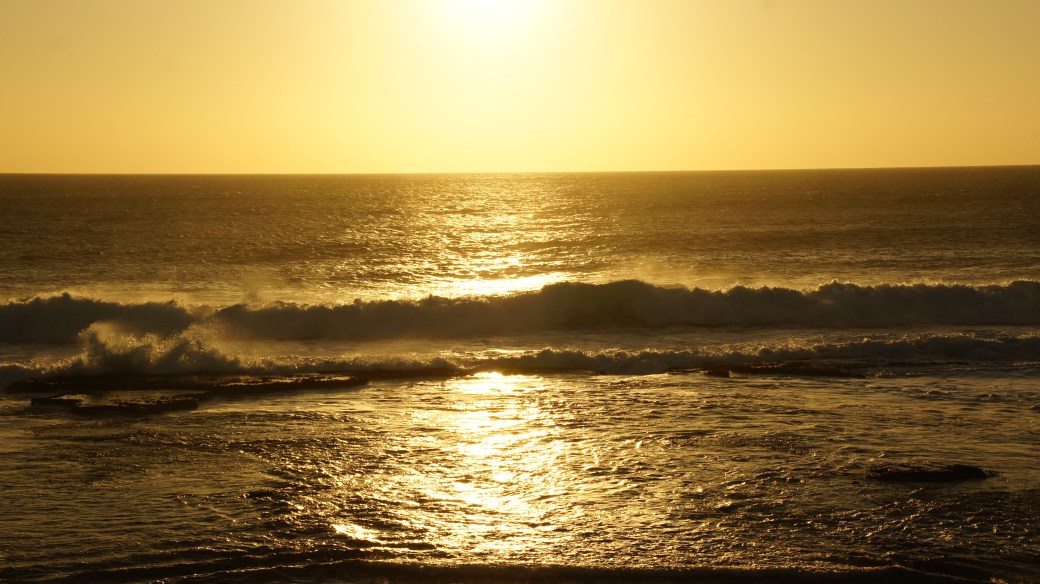 SONY DSC