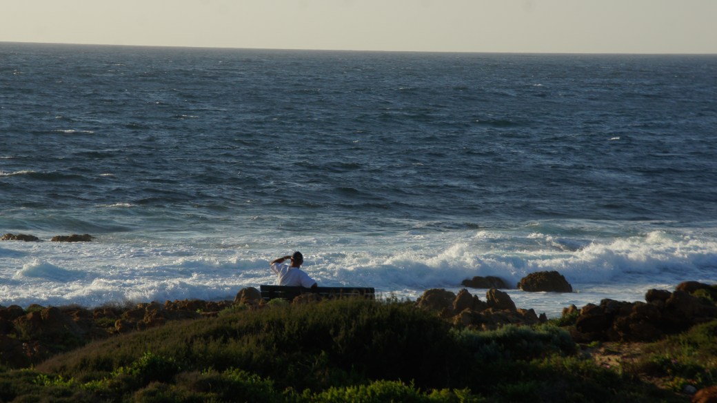 SONY DSC